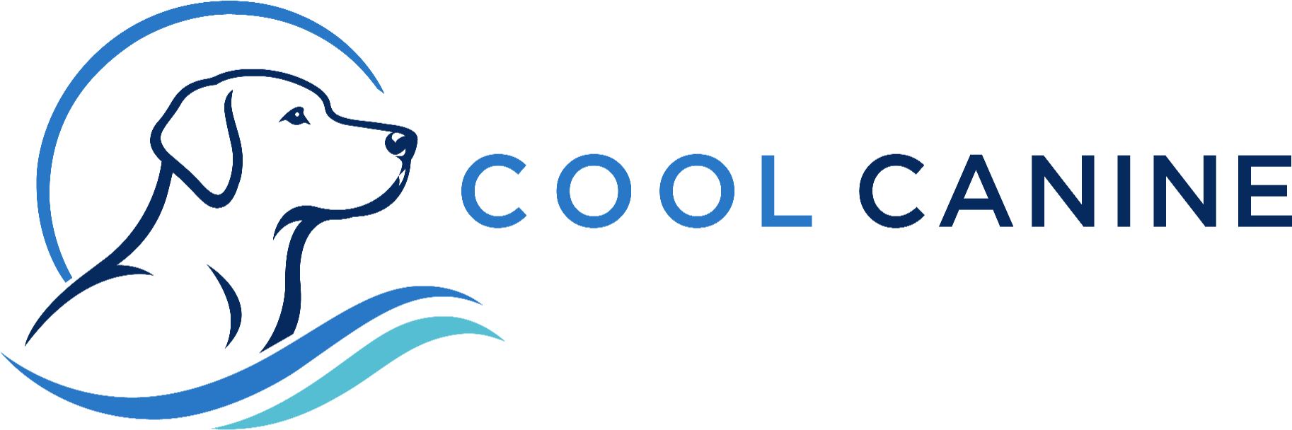 Cool Canine