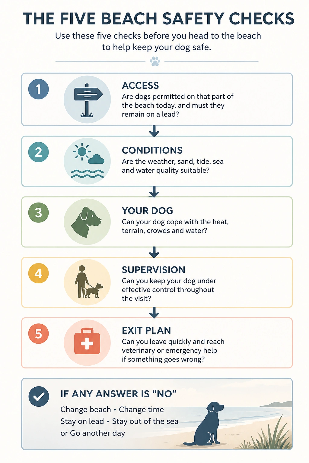 Infographic showing the five beach safety checks for dogs: beach access, conditions, your dog, supervision and an exit plan before visiting the beach.