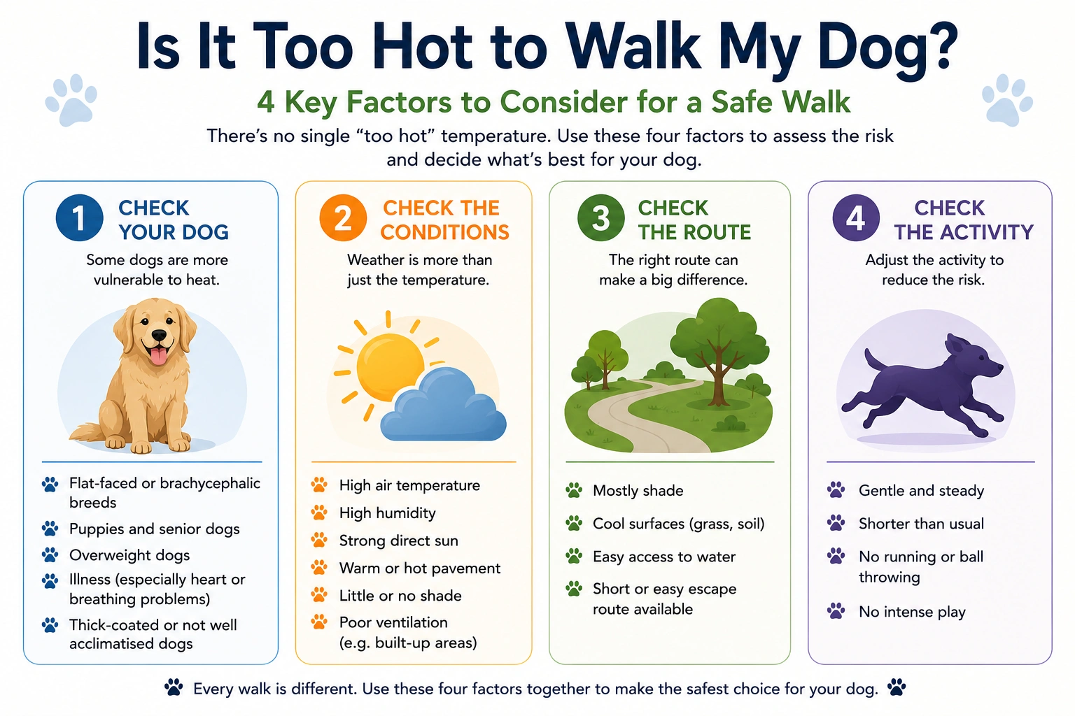 Infographic showing the four key factors to consider before walking a dog in hot weather: your dog, the weather conditions, the walking route and the planned activity.