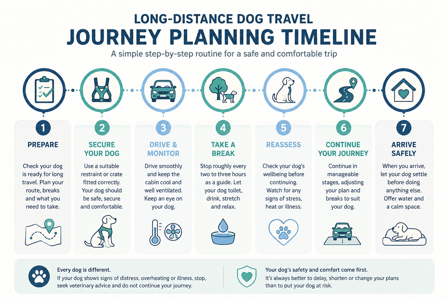 Journey planning timeline showing the key stages of long-distance car travel with a dog, from preparation and restraint to breaks, monitoring and safe arrival.