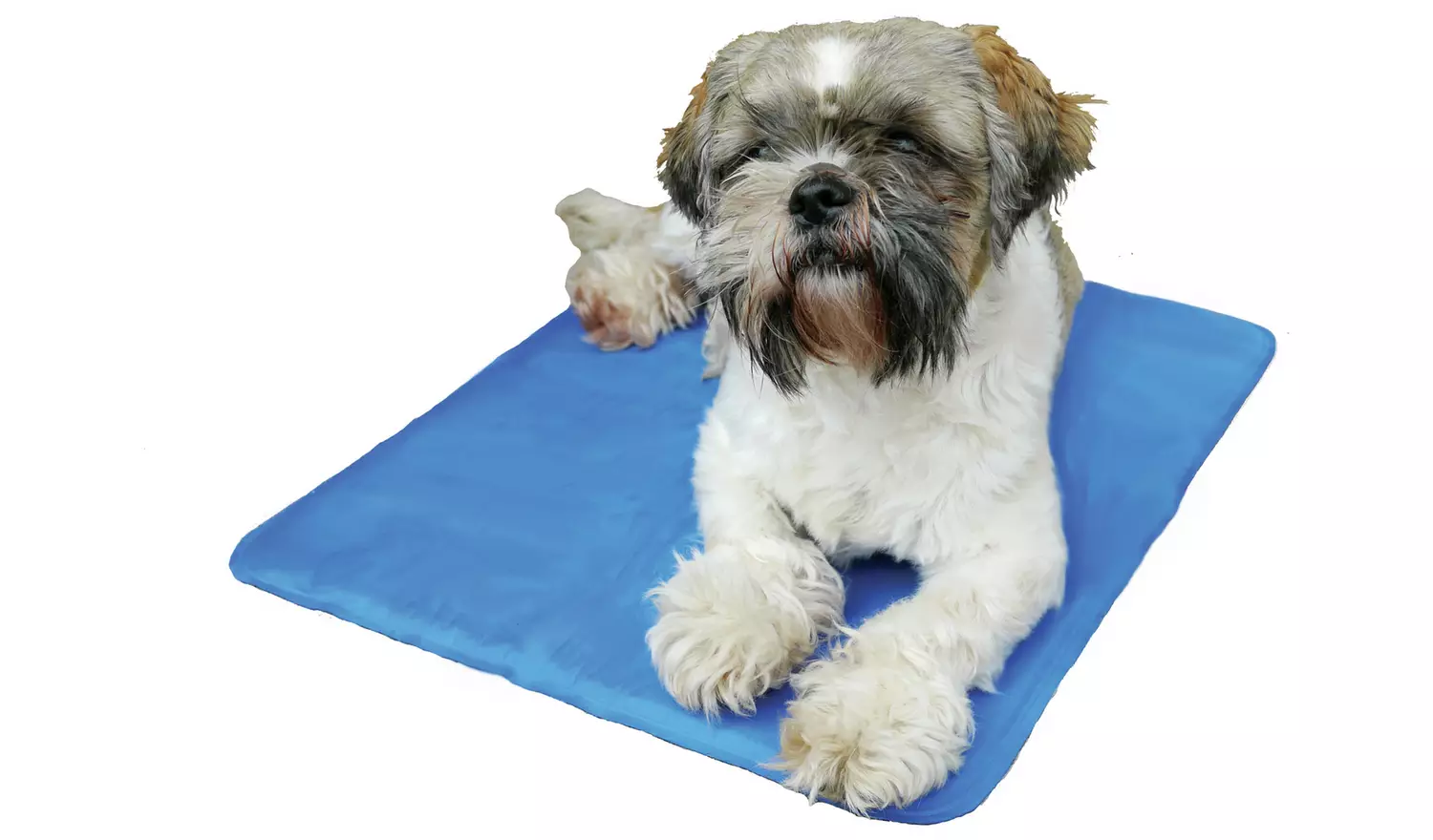 Rosewood Chillax Cool Pad Medium for dogs