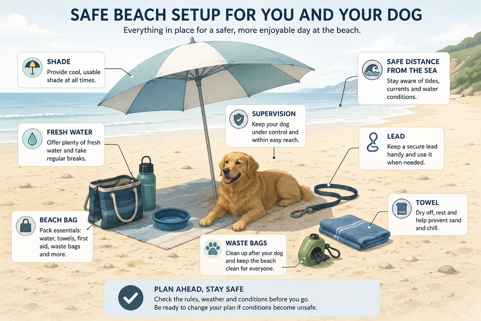 Illustration showing a safe beach setup for a dog, including shade, fresh water, a lead, supervision, towels and other essential beach equipment.