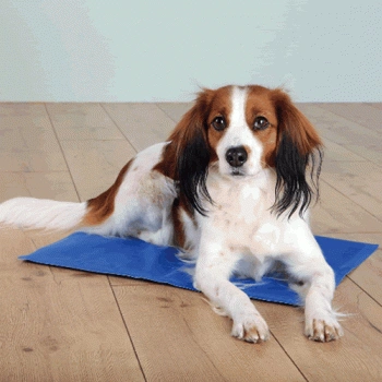 Trixie Cooling Mat for dogs in blue