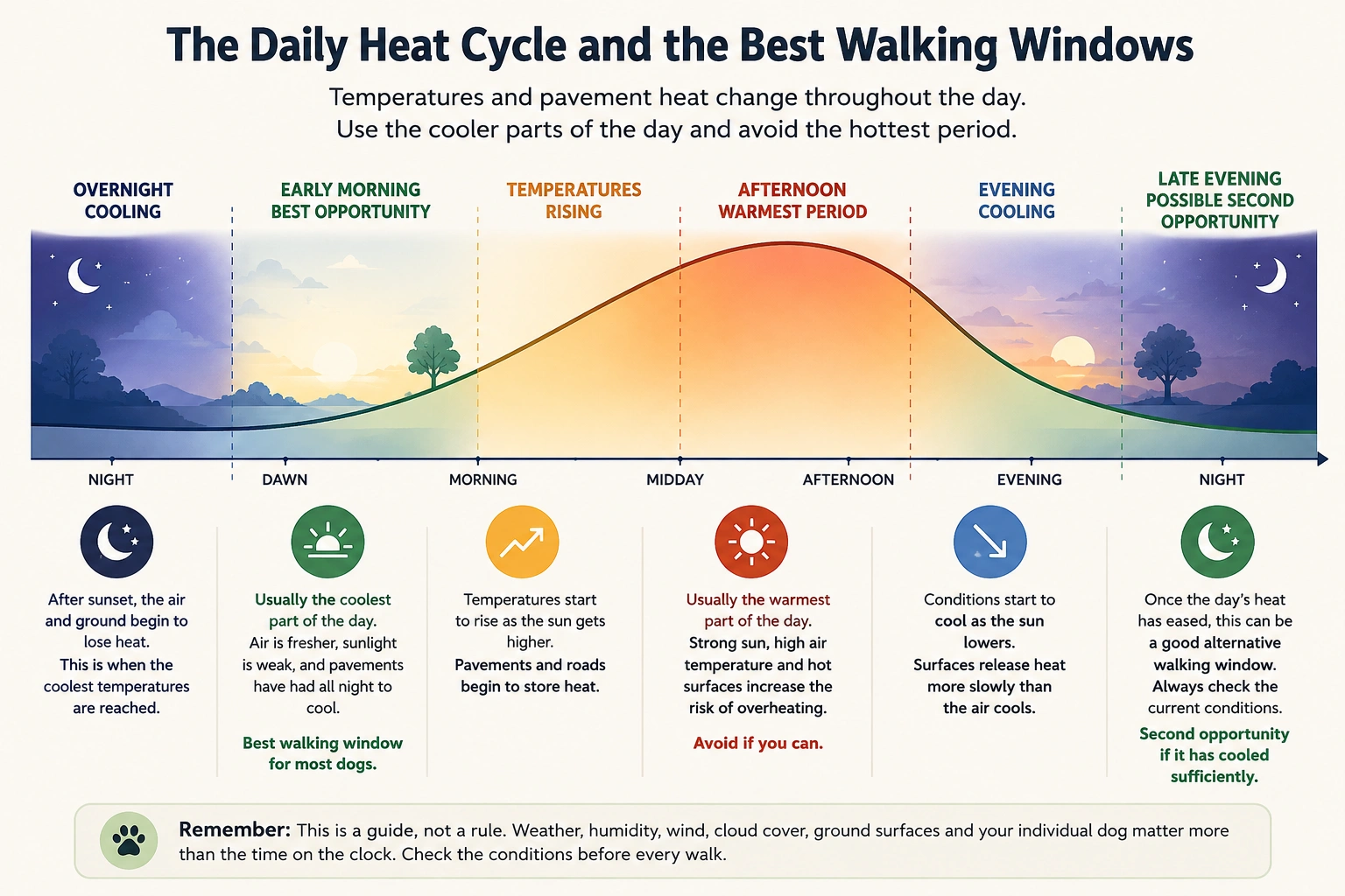 Daily heat cycle showing early morning as usually the best time to walk a dog in hot weather, with late evening as a possible alternative.