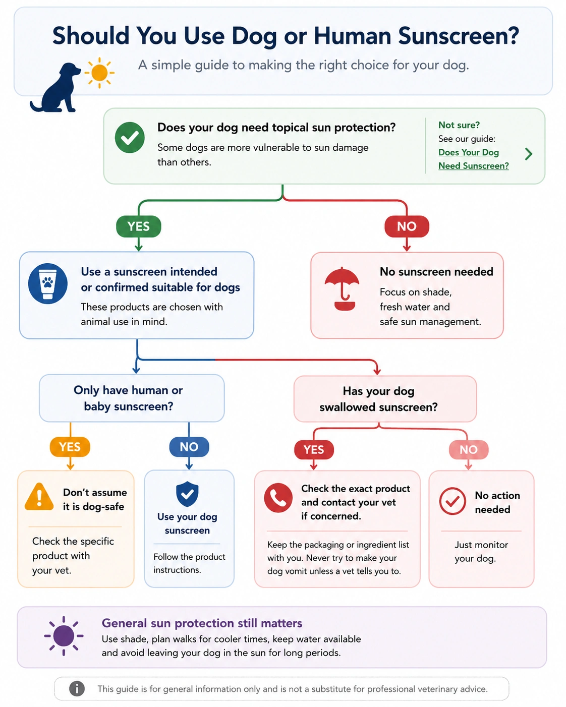 Decision guide comparing dog sunscreen and human sunscreen, including what to do if your dog swallows sunscreen