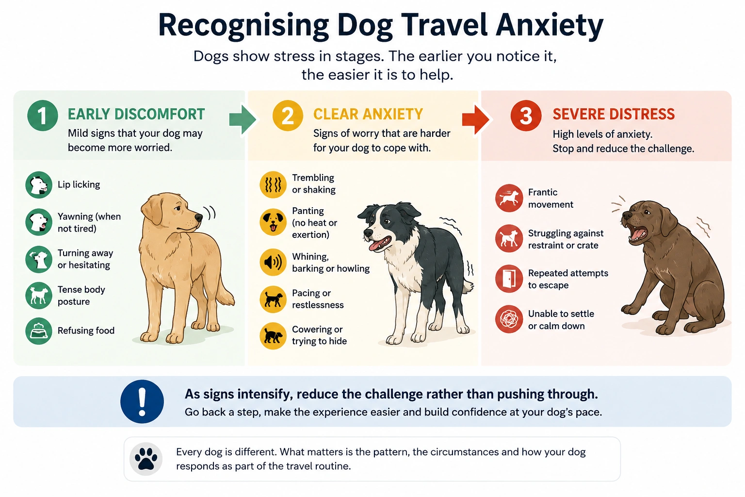 Signs of dog travel anxiety progressing from early discomfort to clear anxiety and severe distress