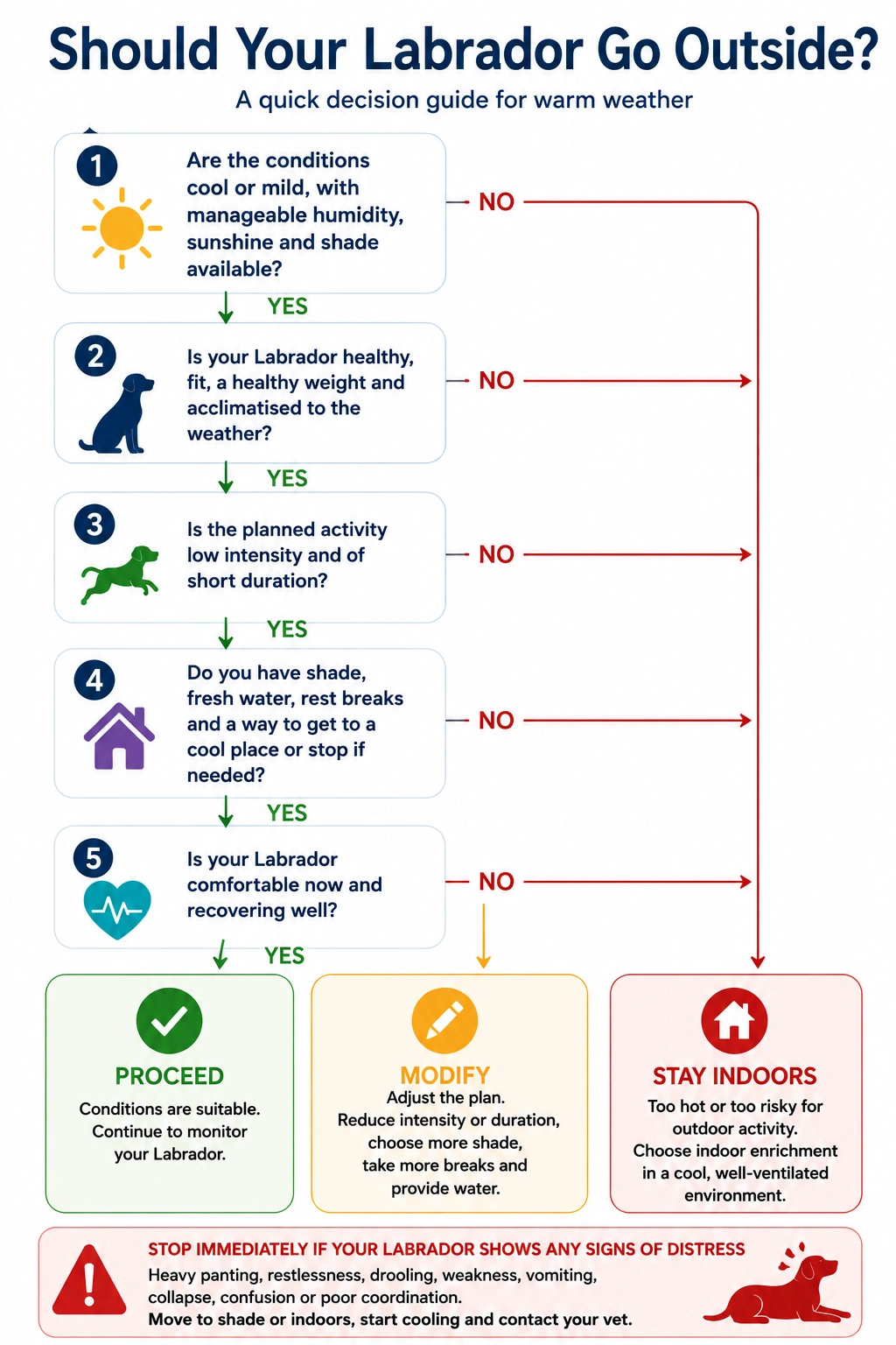 Decision flowchart showing how to decide whether warm weather is safe for a Labrador based on conditions, activity and the dog's response.
