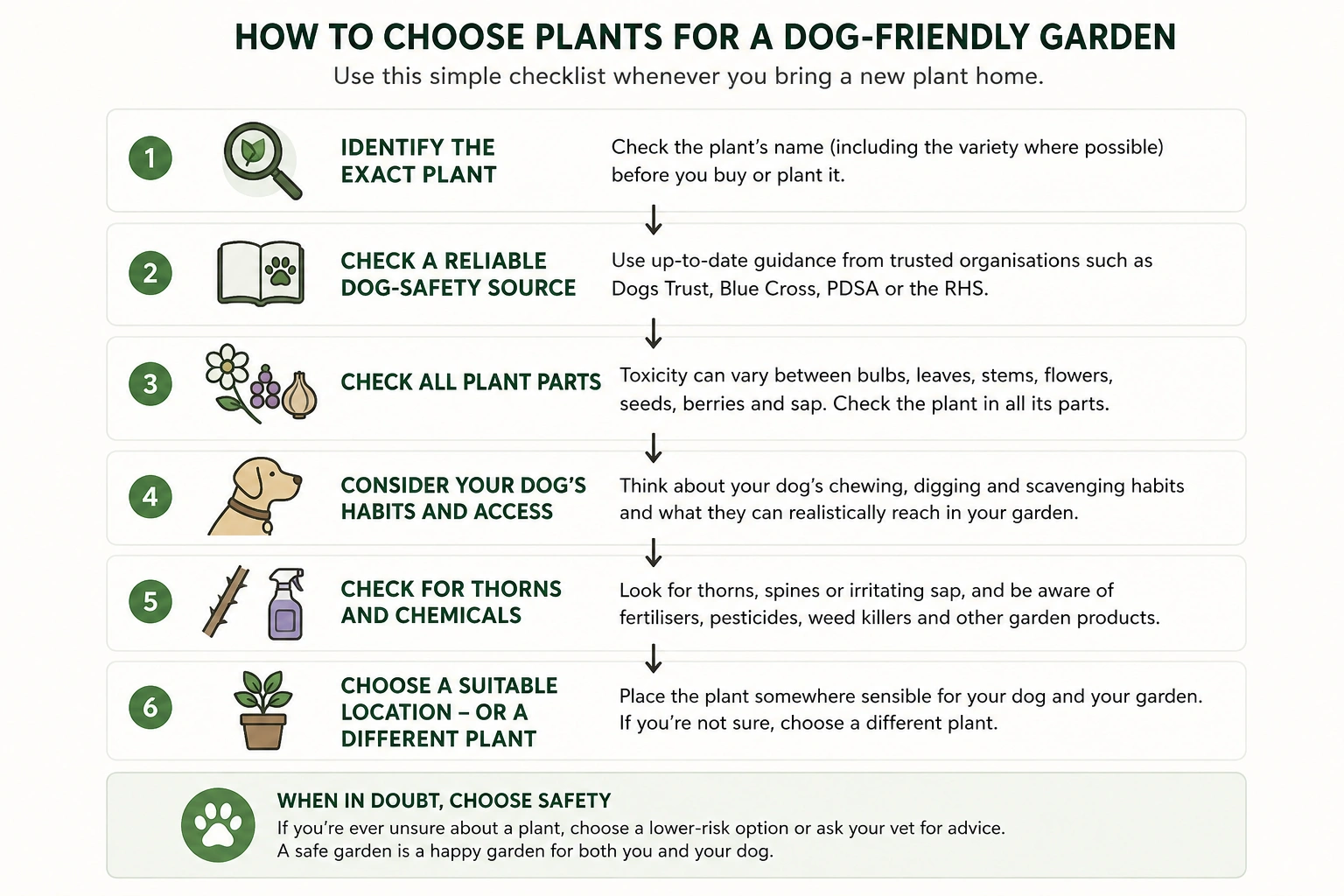 Six-step guide to choosing dog-safe garden plants, including checking plant identity, toxicity, access and other hazards