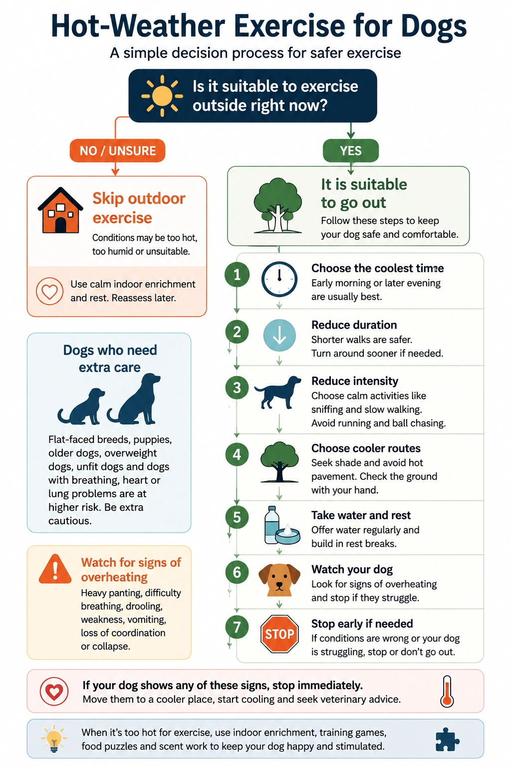 Hot-weather dog exercise guide showing how to exercise a dog safely and when to skip outdoor exercise