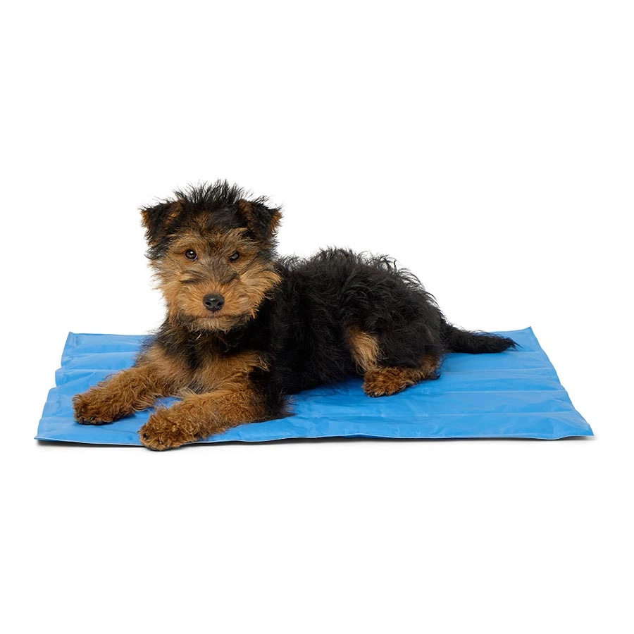 Pets at Home dog cooling mat