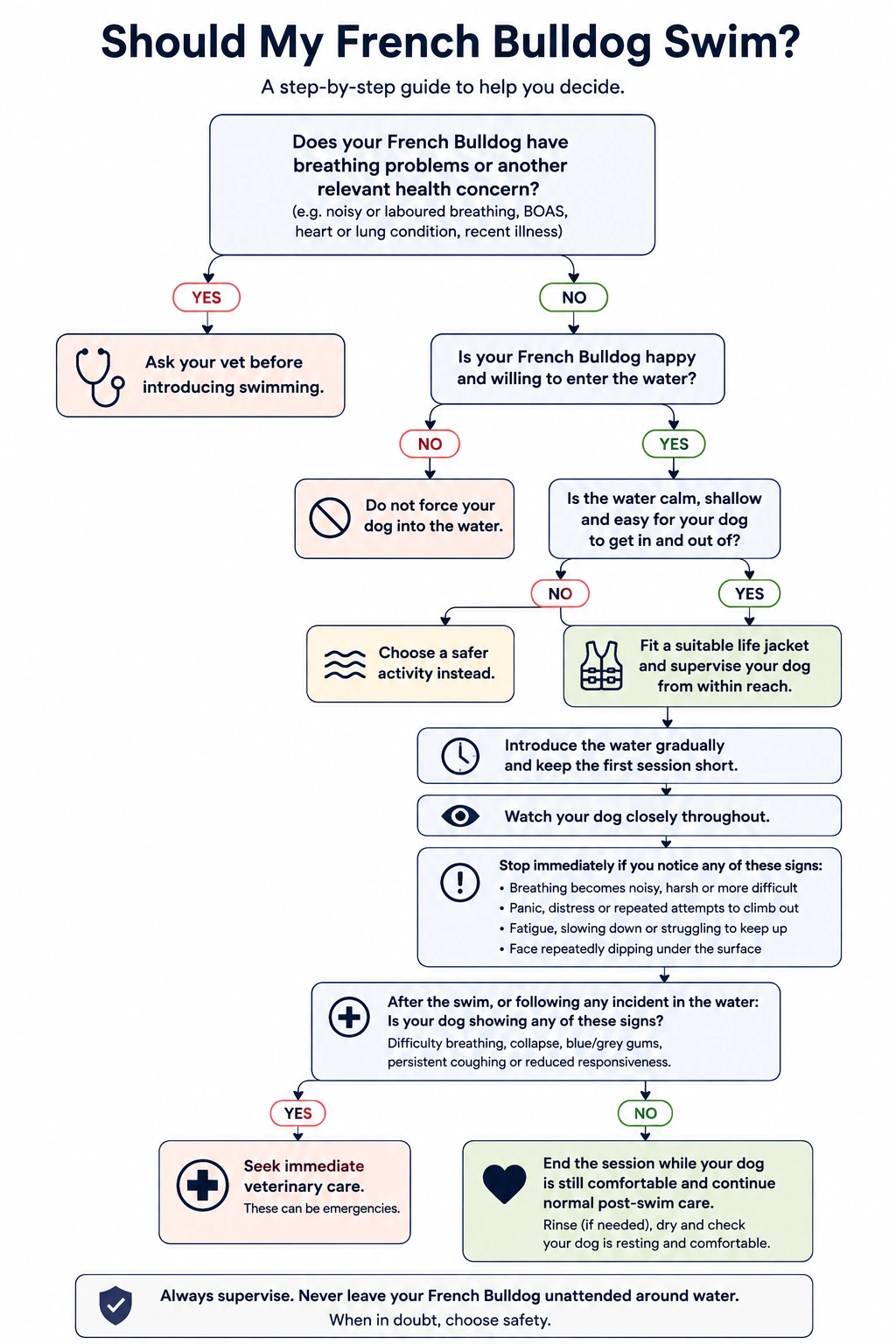 Decision flowchart showing how to decide whether a French Bulldog should swim safely, including breathing problems, willingness to enter the water, supervision, life jacket use and when to seek veterinary care.